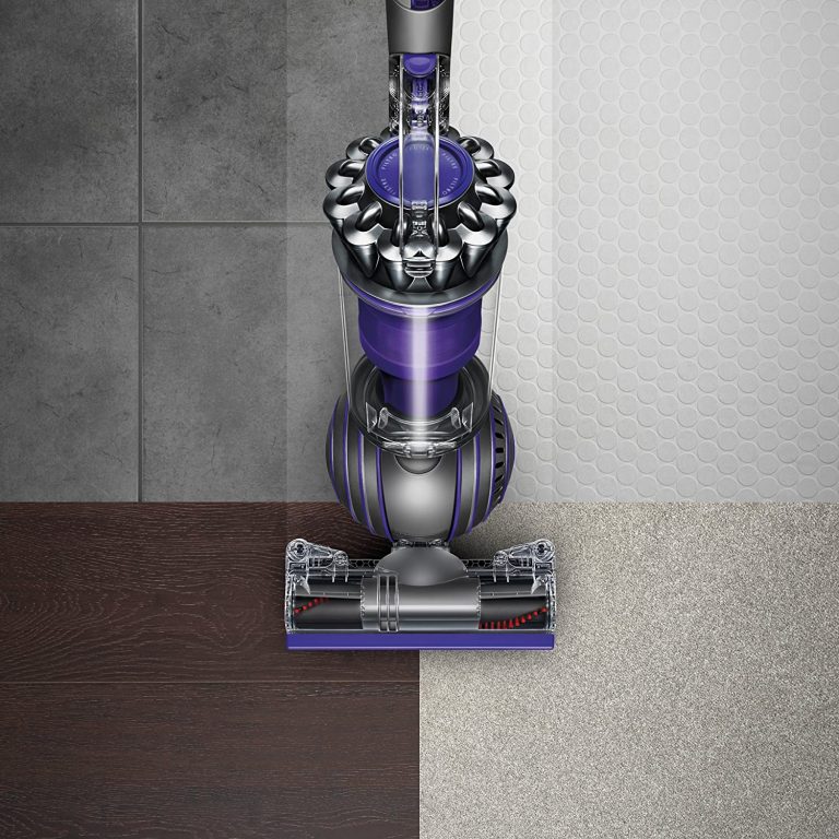 kohls dyson animal 2